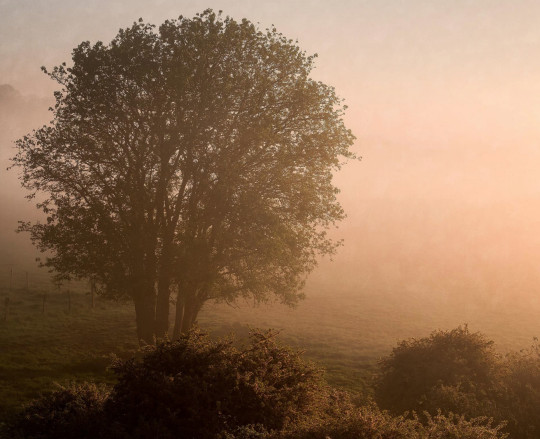 Boråstapeter Studio Papier peint panoramique Marie Mattsson Kultmarken - 9776W