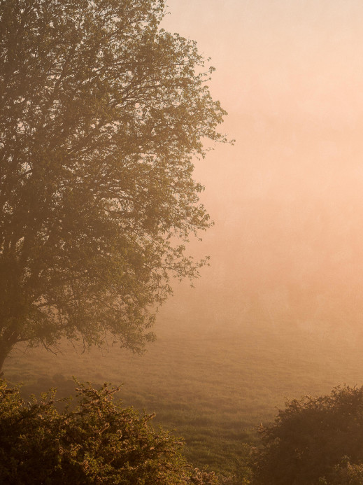 Boråstapeter Studio Papier peint panoramique Marie Mattsson Kultmarken - 9776W