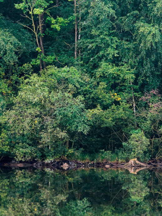 Boråstapeter Studio Carta da parati panoramica Marie Mattsson Sommarreflektion - 9772W