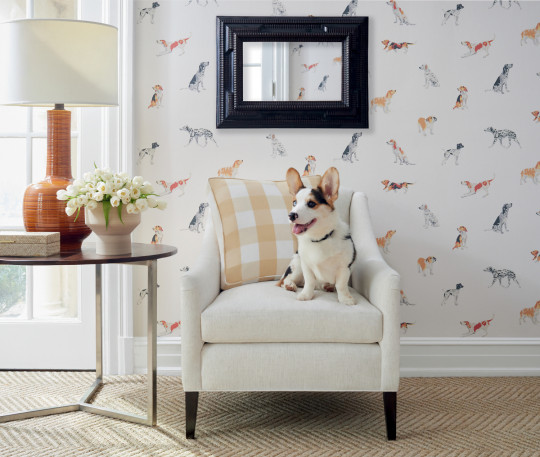 Anna French Tapete Buddy - Multi