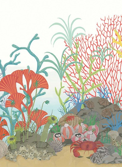 Cole & Son Papier peint Archipelago - Multi