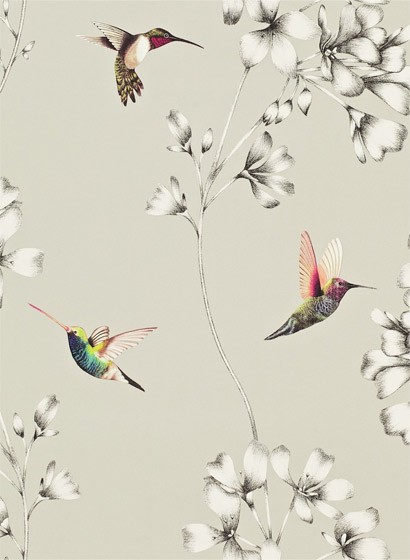 Kolibri Tapete Amazilia von Harlequin - Silver