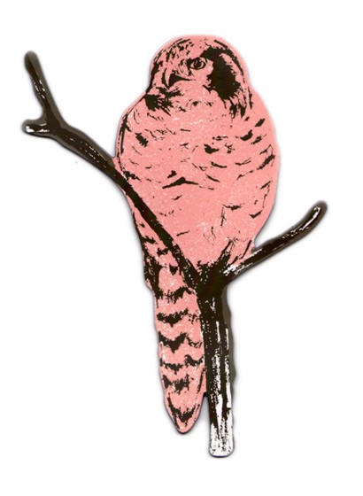 Magnet Owl von Sian Zeng - Pink