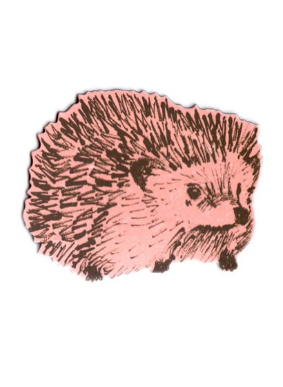 Magnet Hedgehog Junior von Sian Zeng - Pink