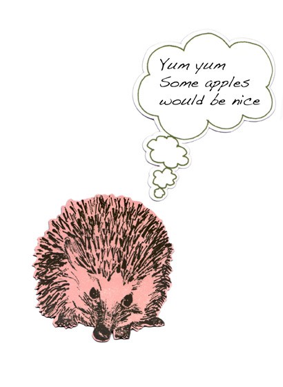Magnet Hedgehog von Sian Zeng