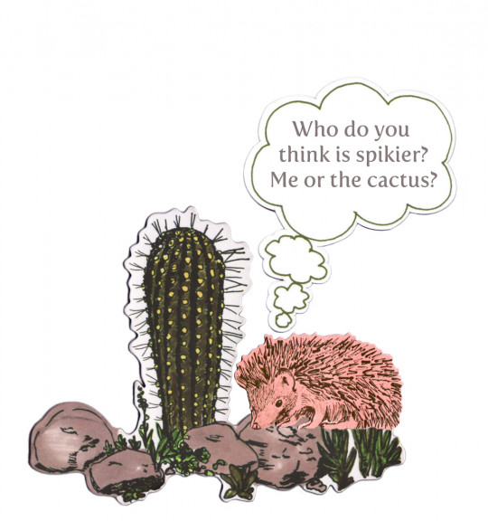 Magnet Cactus von Sian Zeng