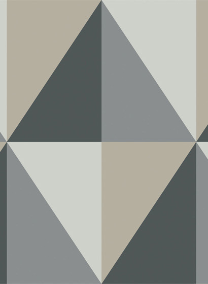 Tapete Apex Grand von Cole & Son - Grey & Black