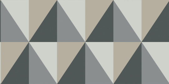 Tapete Apex Grand von Cole & Son - Grey & Black