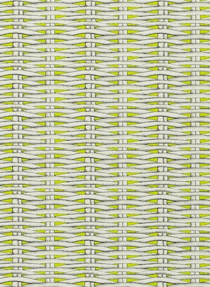 Tapete Barbade von Christian Lacroix - Lime