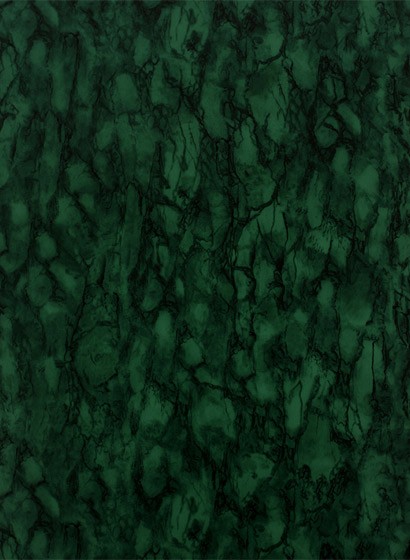 Nina Campbell Papier peint Kershaw Plain - Malachite/ Green