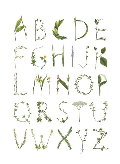Wandbild ABC for the Spelling Bee von Rebel Walls - Green
