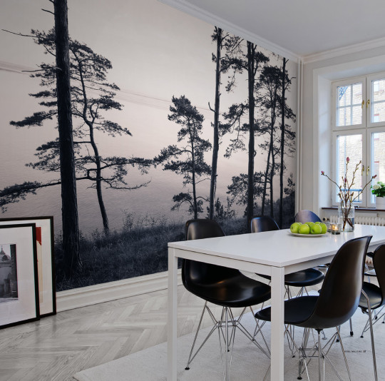 Wandbild Old Pine Trees von Rebel Walls