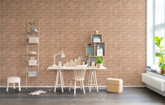 Rebel Walls Mural Birch Bark Braids