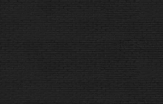 NLXL Wallpaper NLXLn Black Brick