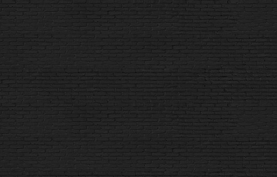 Black Brick Wallpaper von NLXL Tapeten