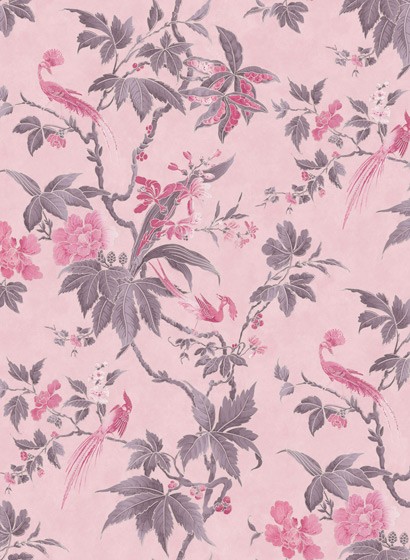 Little Greene Papier peint Paradise - Pink