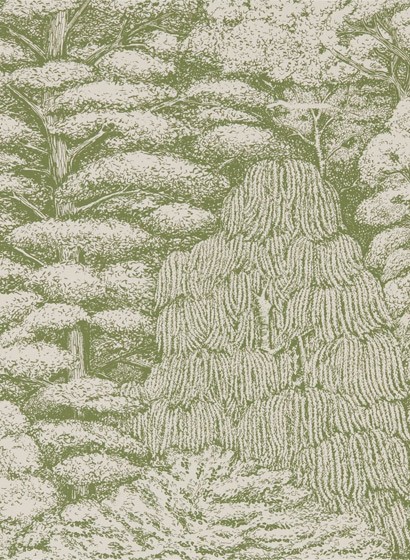 Tapete Woodland Toile von Sanderson - Cream/ Green