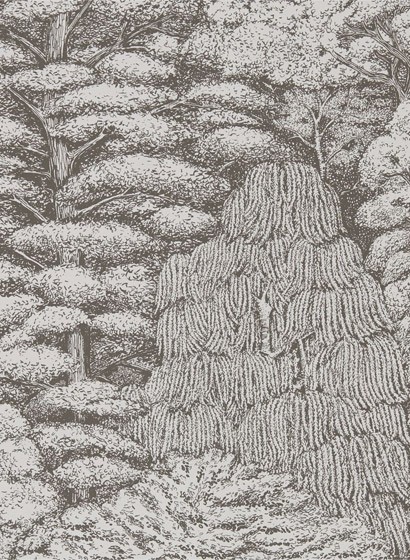 Sanderson Papier peint Woodland Toile - Ivory/ Charcoal