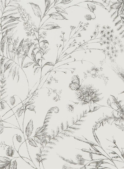 Ralph Lauren Wallpaper Fern Toile Pencil