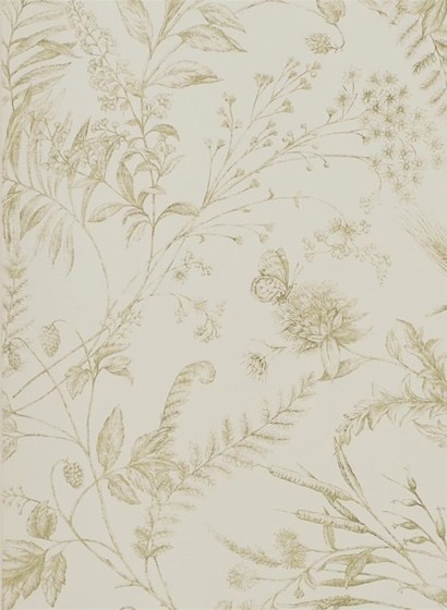 Tapete Fern Toile von Ralph Lauren - Meadow