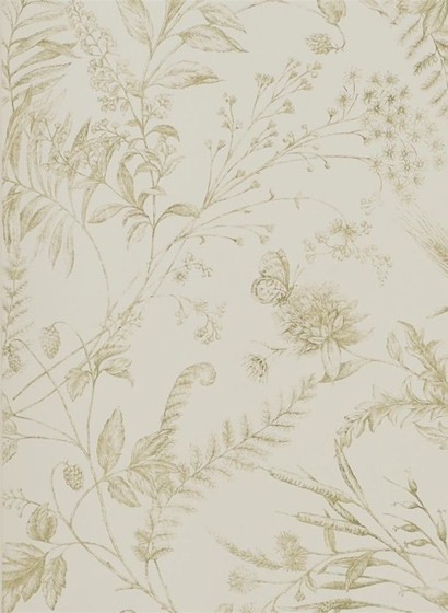 Ralph Lauren Papier peint Fern Toile - Meadow