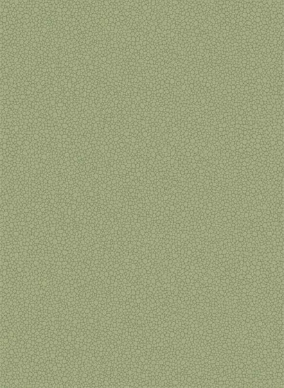 Cole & Son Papier peint Pebble - Dark Olive