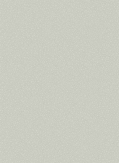 Cole & Son Papier peint Pebble - Pale Grey