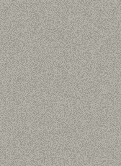 Cole & Son Papier peint Pebble - Grey