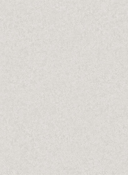 Cole & Son Wallpaper Cordovan Grey