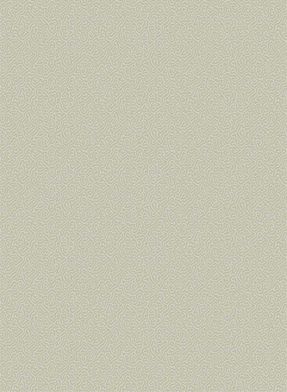 Cole & Son Wallpaper Coral Old Olive