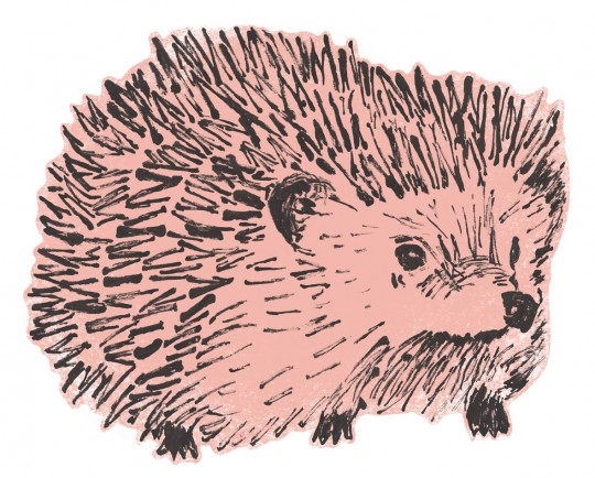 Sian Zeng Adesivo murale Hedgehog - Pink