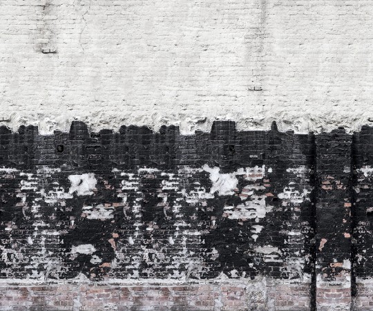 Rebel Walls Mural Deconstructed Domino