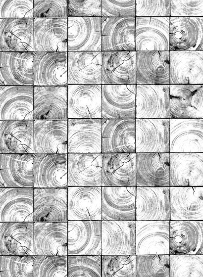 Wandbild Age Rings von Rebel Walls - Black & White