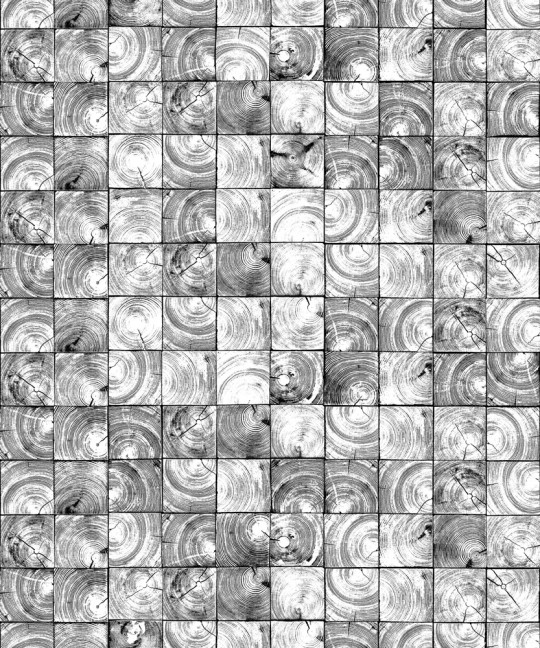 Wandbild Age Rings von Rebel Walls - Black & White