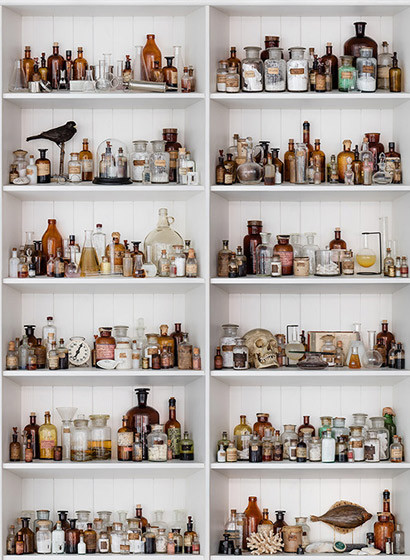 Wandbild Cabinet of Curios von Rebel Walls - Original