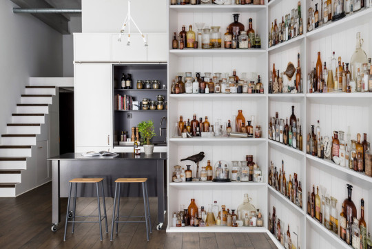 Rebel Walls Carta da parati panoramica Cabinet of Curios