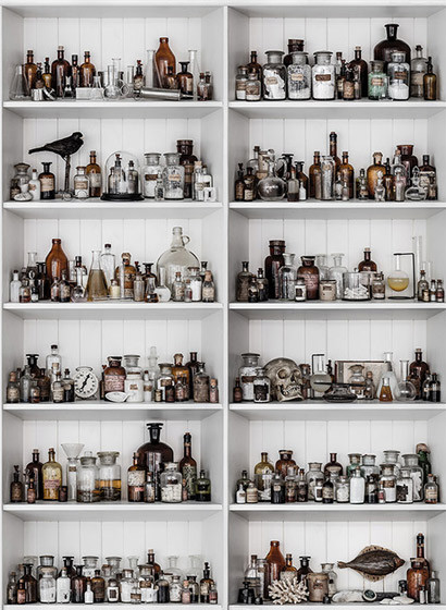 Rebel Walls Carta da parati panoramica Cabinet of Curios - Raw