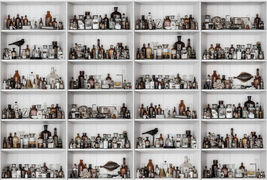 Rebel Walls Carta da parati panoramica Cabinet of Curios - Raw