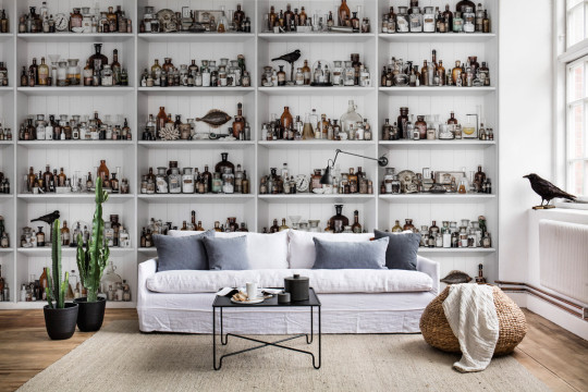 Rebel Walls Carta da parati panoramica Cabinet of Curios