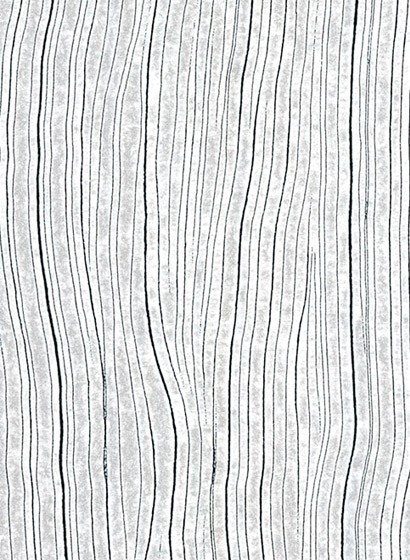 Holz Tapete Timber von Arte - Weiß