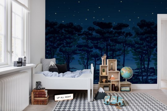 Rebel Walls Mural The Enchanted Forest Night