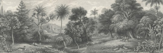 Rebel Walls Mural Jungle Land Vintage