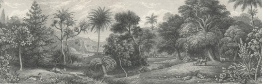 Rebel Walls Papier peint panoramique Jungle Land Vintage