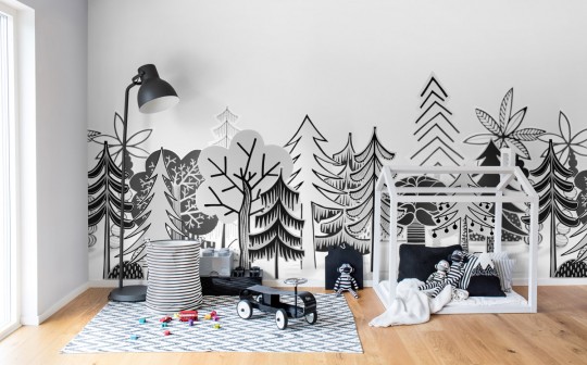 Rebel Walls Papier peint panoramique Nordic Valley - Black/ White
