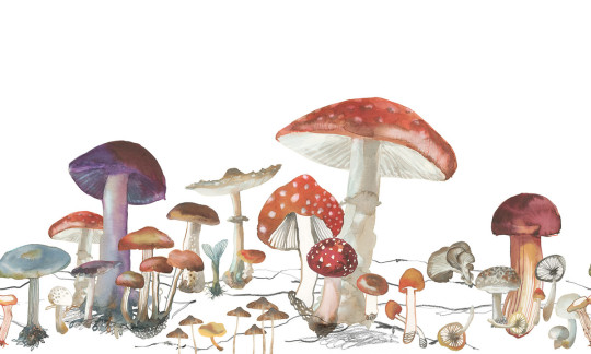 Rebel Walls Mural Woods of Wonder