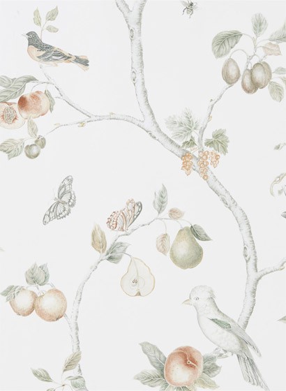 Sanderson Papier peint Fruit Aviary - Ivory/ Mineral