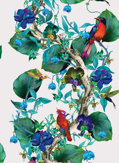 Tapete Rain Forest von Osborne & Little - Emerald/ Ruby