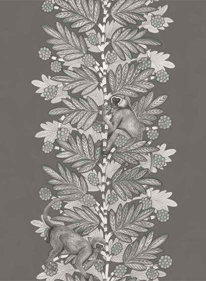 Streifentapete Acacia von Cole & Son - Charcoal/ Gilver