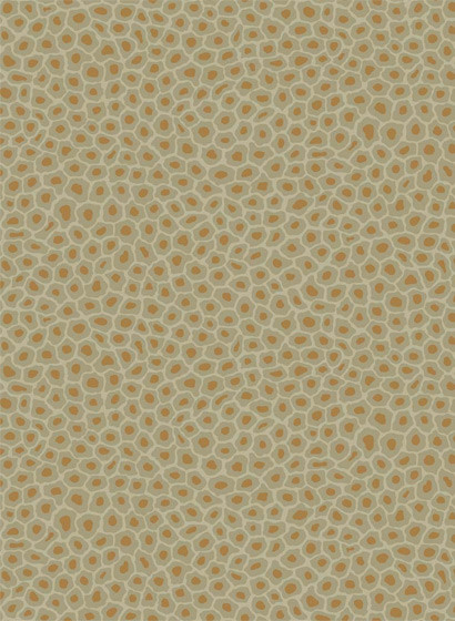 Tapete Senzo Spot von Cole & Son - Olive/ Gold