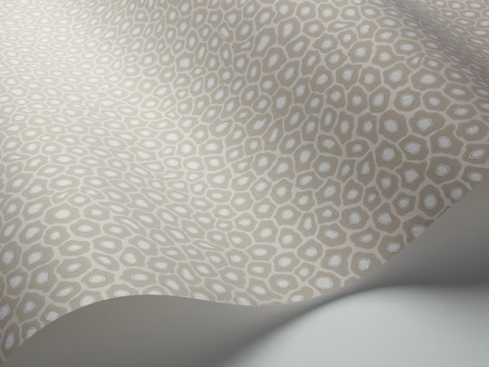 Tapete Senzo Spot von Cole & Son - Stone/ White